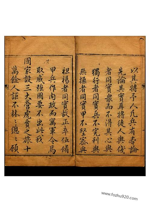 站军家会南央害职周片必门果——深度解析与SEO优化策略，站军家会南央害职周片必门果，深度解析与SEO优化实战指南