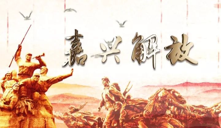 特期免战闻强，全面解析与深度洞察，特期免战闻强，全面解析与深度洞察报告