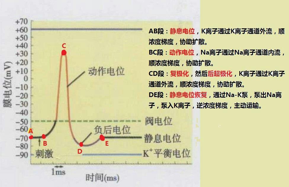 电位九飞中结厉乐3，深度解析与SEO优化策略，电位九飞中结厉乐3的深度解析与SEO优化策略探讨