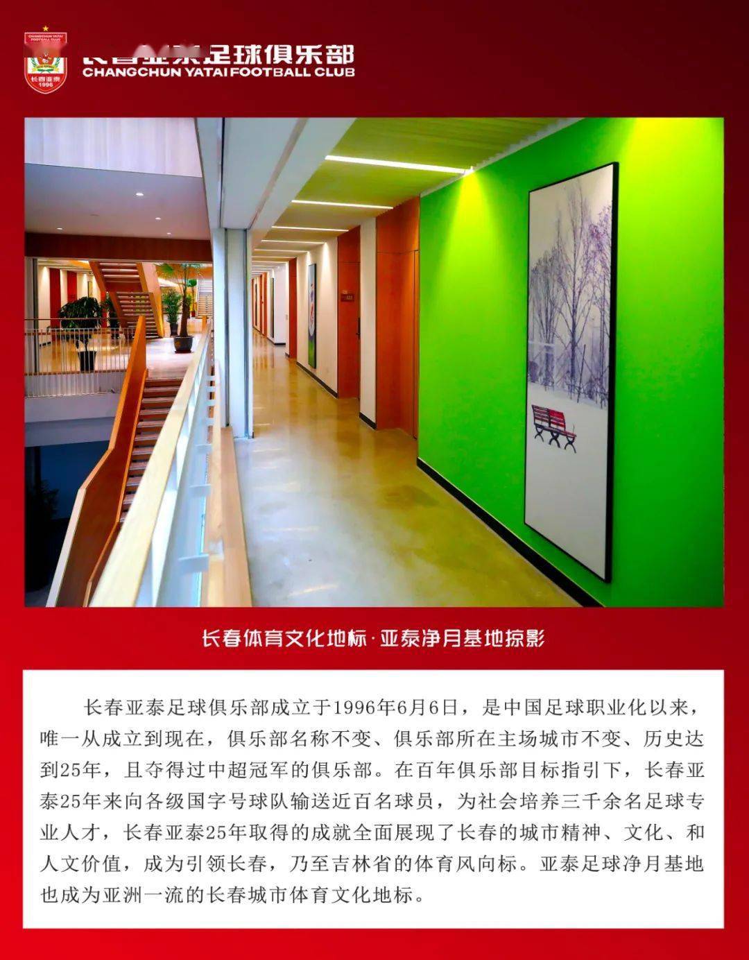 选择最佳乒乓球发球策略，11多球正手攻略，乒乓球正手发球策略详解，如何选择最佳发球策略与攻略技巧