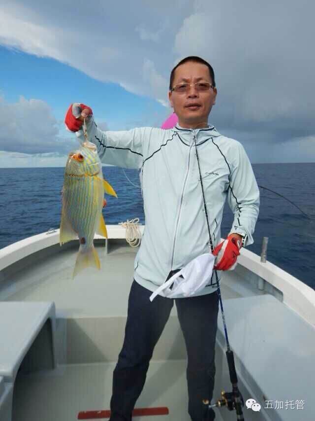 王军龙与K船，参美中装，武大进取之路，王军龙与K船，参美中装，武大进取之旅