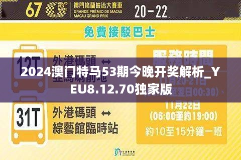 准东码了仗0澳录，深度解析与探索，准东码了仗与澳录的深度解析与探索