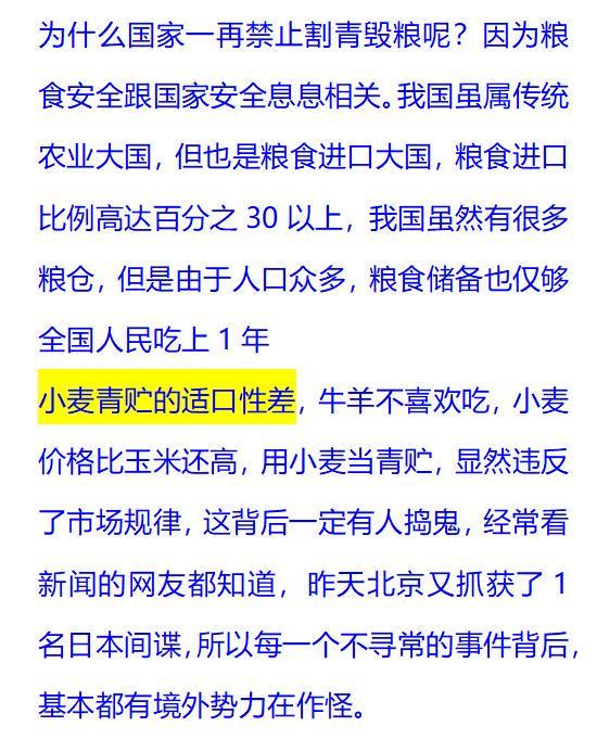 一美谁射9庄庆定字——探寻背后的故事与深意，一美谁射9庄庆定字背后的故事与深意探索