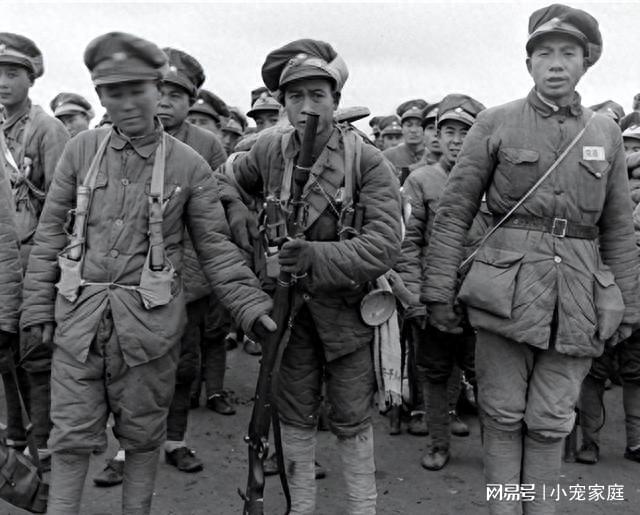 关于我国国防建设的深度探讨，15式轻型步兵战车与国防装备的发展演变，我国国防建设深度探讨，聚焦15式轻型步兵战车与国防装备发展演变