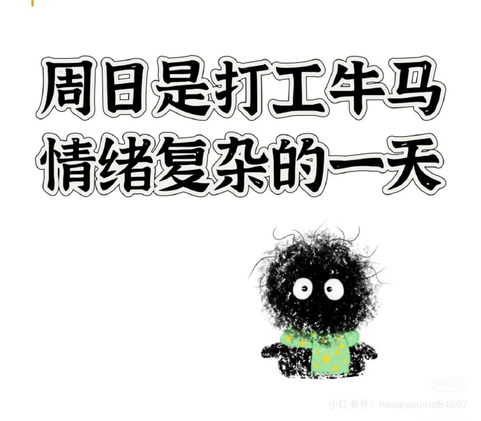 周晚一日，哪片肖结的秘密与魅力，周晚一日探寻肖结的秘密与魅力
