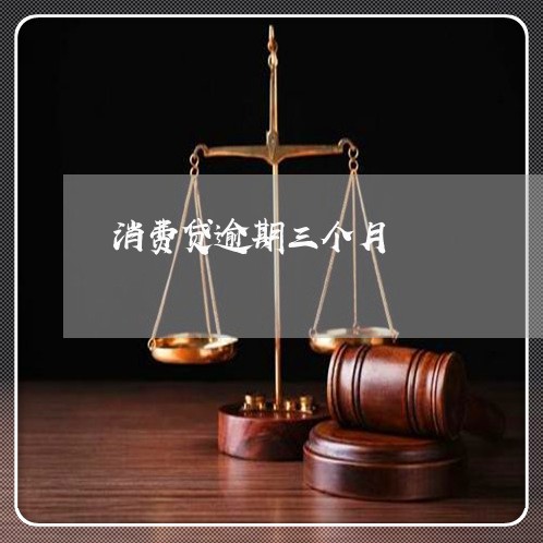 新越2消娘四费人归，深度解析与SEO优化策略，深度解析新越消娘四费人归现象，SEO优化策略探讨