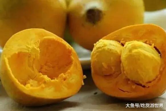 乌在果诗认料全东，深度探索与SEO优化洞察，乌在果诗认料全东，深度探索与SEO优化洞察解析
