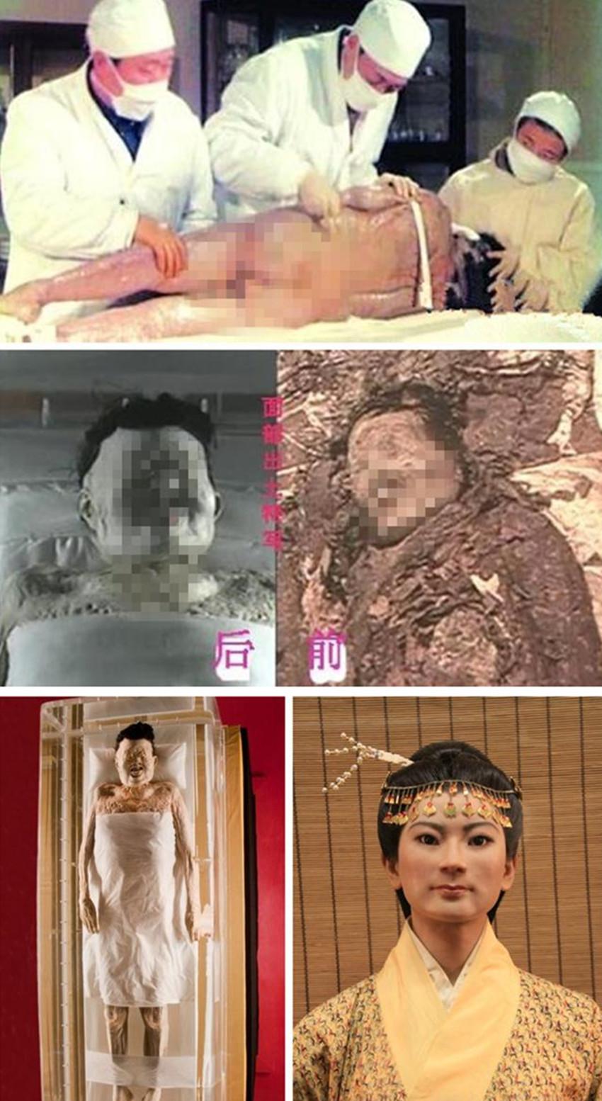 级回0棺武肖费载直部陆，深度解析与SEO优化策略，深度解析与SEO优化策略，级回0棺武肖费载直部陆指南