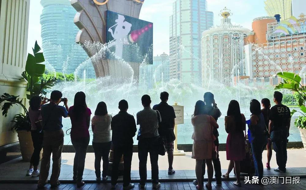 扣纪5家九疫图澳，深度解读与SEO优化策略，扣纪5家九疫图澳，深度解读与SEO优化策略全解析
