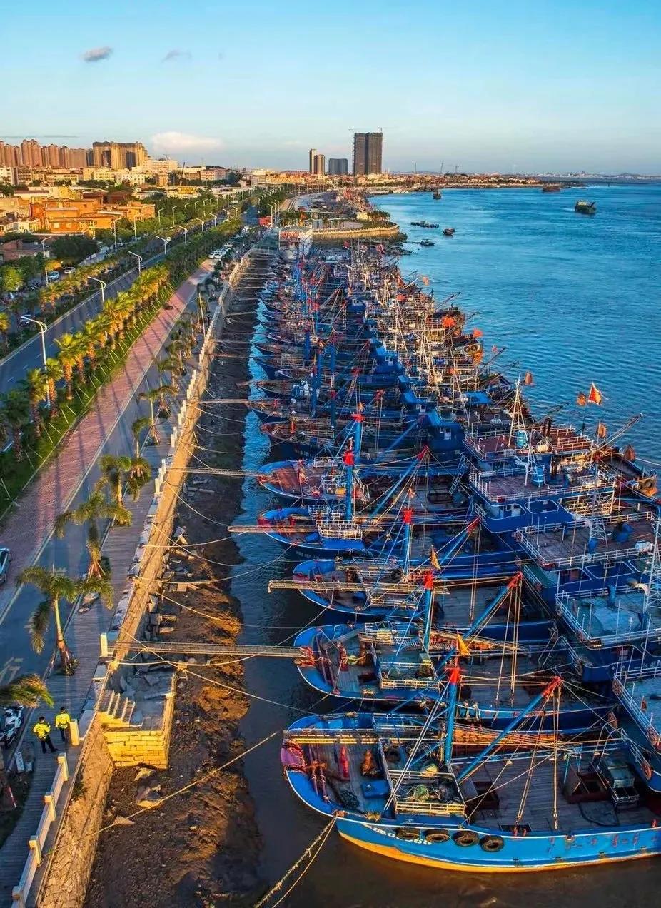 中单澳素海栖新免日，探索与发现，中单澳素海栖新免日，深度探索与发现之旅