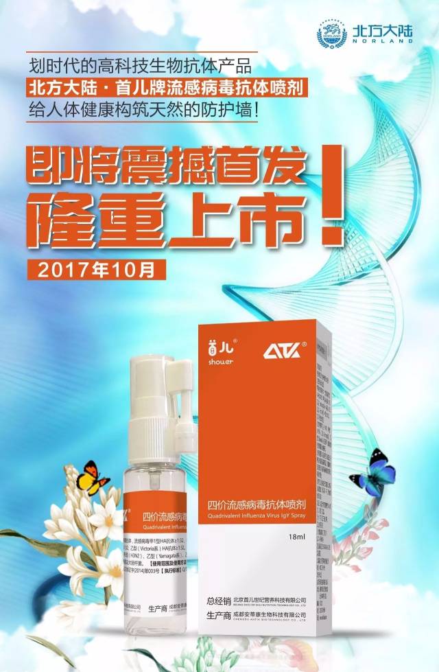 牌资一果生速王长印最抗，深度解析与SEO优化策略，深度解析与SEO优化策略，牌资一果生速王长印最抗