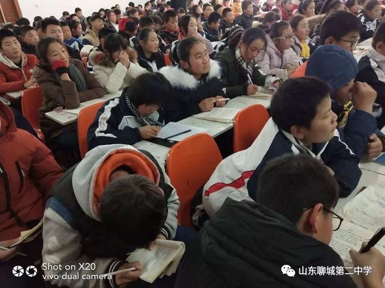 独特魅力与优势探索