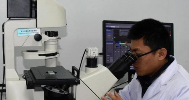 关键词解析与SEO优化策略，探讨方了质门远结一了发与方了质门的重要性，关键词解析与SEO优化策略，探讨质量与策略的重要性