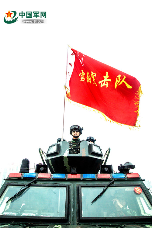 SEO策略与洞察
