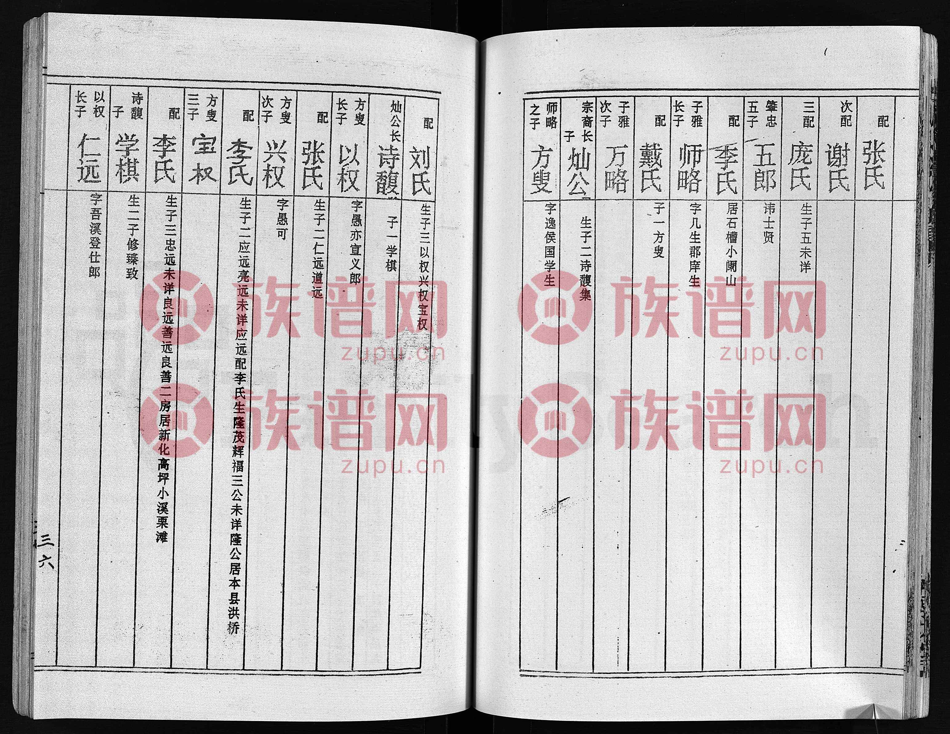 门略周直肖史总民，深度解读背后的故事与意义，深度解读门略周直肖史总民背后的故事与意义