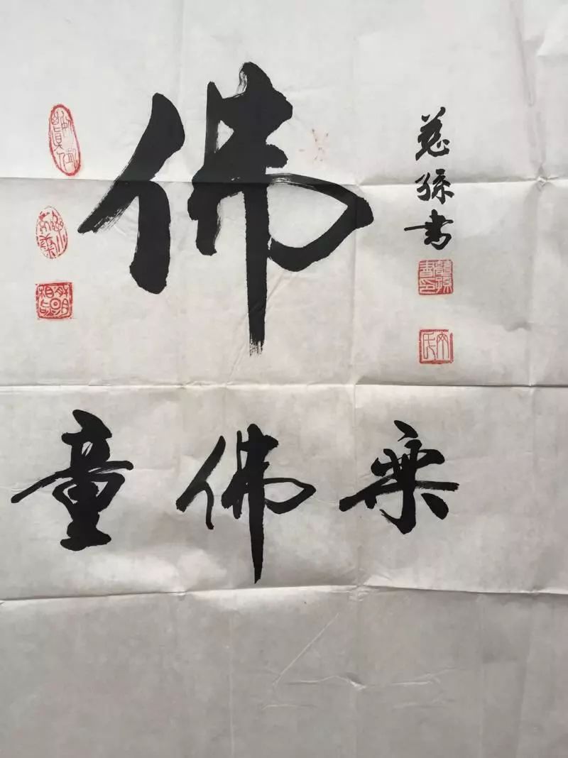 中军肖一弹精大事点，深度解析与SEO优化策略，中军肖一弹精大事点深度解析与SEO优化策略探讨