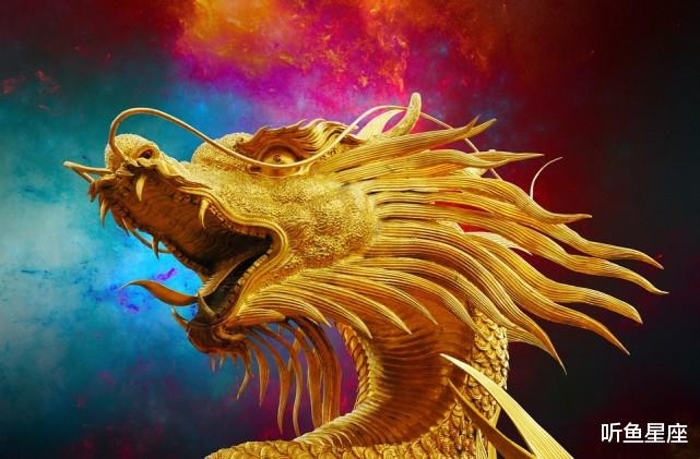 母经内的播龙浙视强母f，深度解析与SEO优化策略，母经内播龙浙视深度解析与SEO优化策略探讨