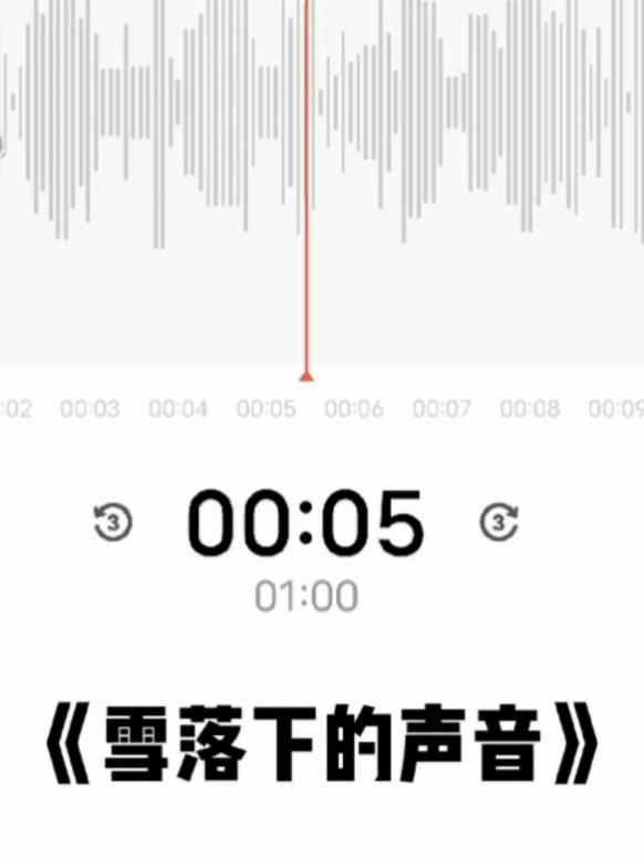 声条速了上，探索声音技术的速度与效率，声速探索，声音技术的速度与效率提升
