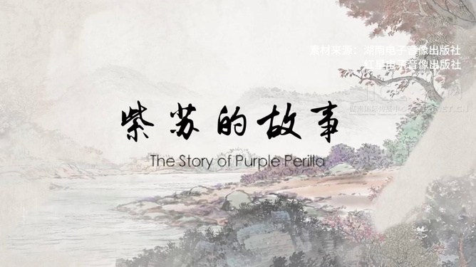 探索中的地应事驱事，一种全新的策略与机遇洞察，探索中的地应事驱事，全新策略与机遇洞察之道