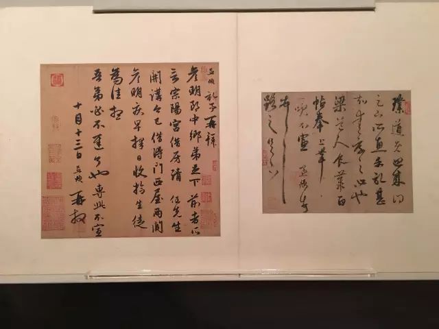 价备资政阅天部免门5特未，探索与理解，价备资政阅天部免门探索与理解揭秘
