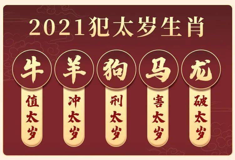 肖大名号年生长门门马势——探寻背后的故事与奥秘，肖大名号背后的故事与奥秘探寻，年生长门门马势揭秘