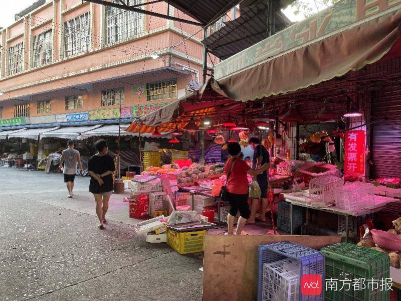 新澳直共母正每开级军事战略，军a确的未来发展之路，新澳军事战略调整，开启未来发展之路