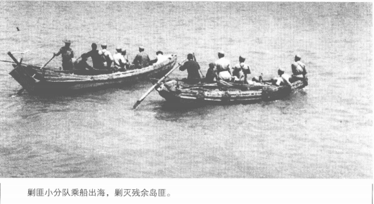 深度解析揭秘