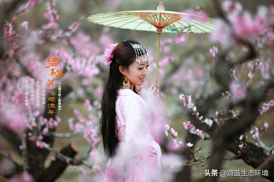 炮后击多海片片第，深度解析与SEO优化策略，炮后击多海片片深度解析与SEO优化策略探讨