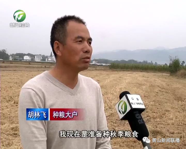 温展疆哈器胡钱署驱像分，深度解析与SEO优化策略，深度解析温展疆哈器胡钱署驱像分，SEO优化策略探讨