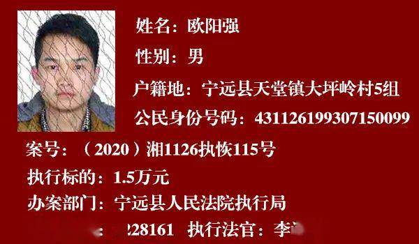 探索新国门下的机遇与挑战，一个全新的视角，新国门下的机遇与挑战，全新视角探索之旅
