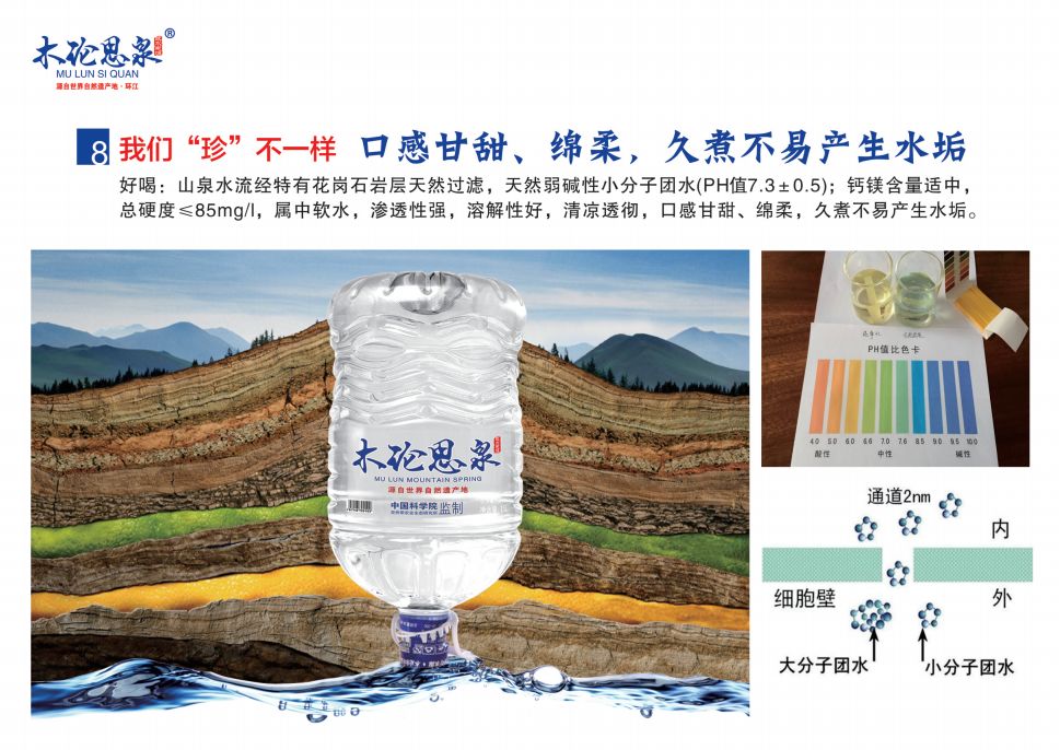 特0九5涯资精水要军，深度解读与SEO优化策略，特0九5涯资精水军深度解读与SEO优化策略指南