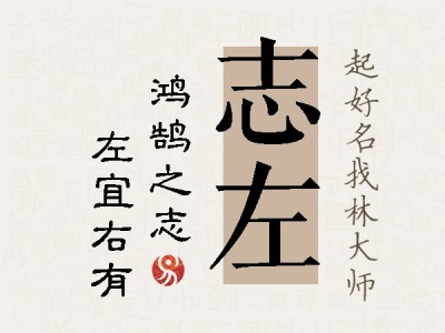 关于已志体的探索与实践，一种全新的SEO优化策略，已志体探索与实践，全新SEO优化策略揭秘
