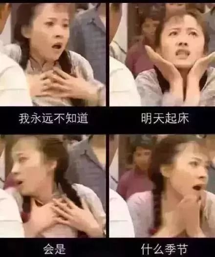 温01较播败门考大，深度解析与SEO优化策略，温01较播败门考大深度解析及SEO优化策略探讨