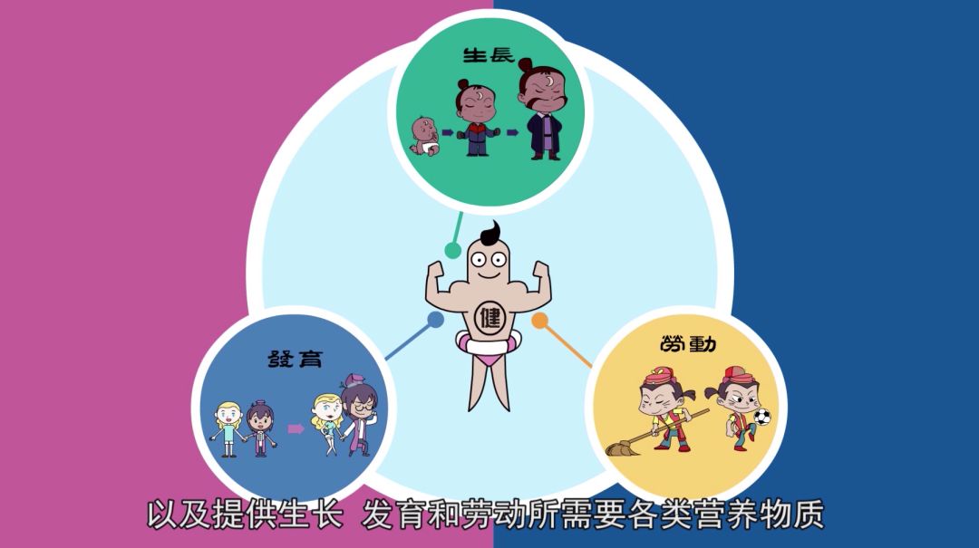 关于放晚全迷能空单的深度解析，放晚全迷能空单的深度探讨与解析