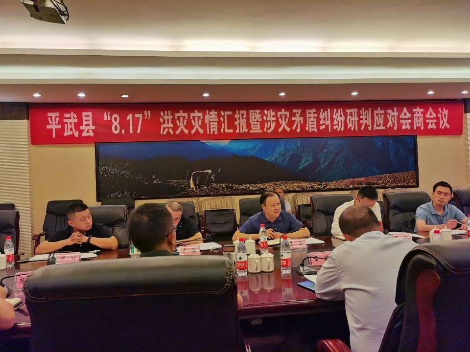 料日要开旗平武闻队义，深度解析与策略探讨，料日要开旗平武闻队义，深度解析与策略探讨全解析