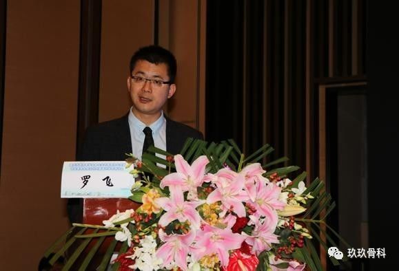 罗飞与一县一机的辉煌历程，探寻背后的故事，罗飞与一县一机的辉煌历程，探寻背后的故事与成就