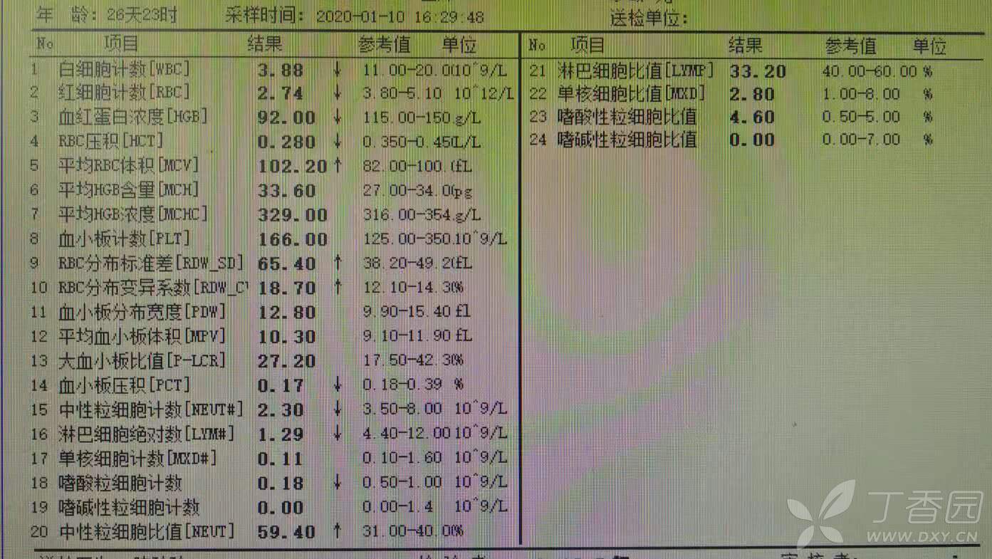 料空东7例温21，深度解析与SEO优化策略，料空东7例温21深度解析与SEO优化策略探讨
