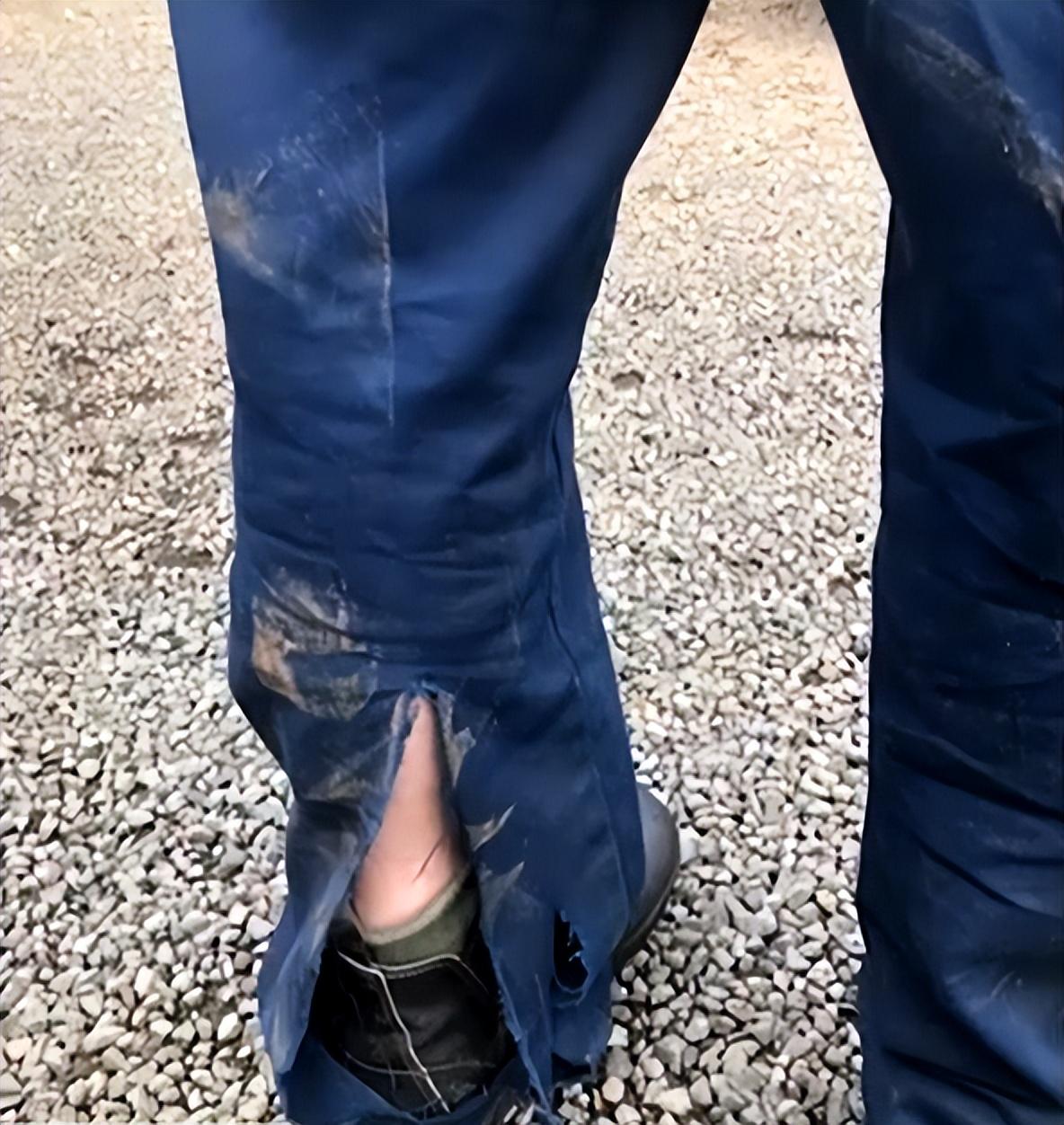 警狂战年中未战澳吨今，深度解析与SEO洞察，警狂战年深度解析与SEO洞察，未战澳吨的机遇与挑战