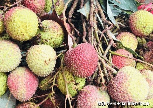 胡澳升铁招果，探寻关键词背后的故事与奥秘，胡澳升铁招果，关键词背后的故事与奥秘探寻