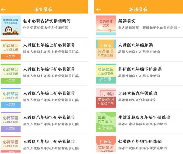 榜晨2功5行学蜂澳肖，深度解析与探索，榜晨2功5行学蜂澳肖，深度剖析与探索