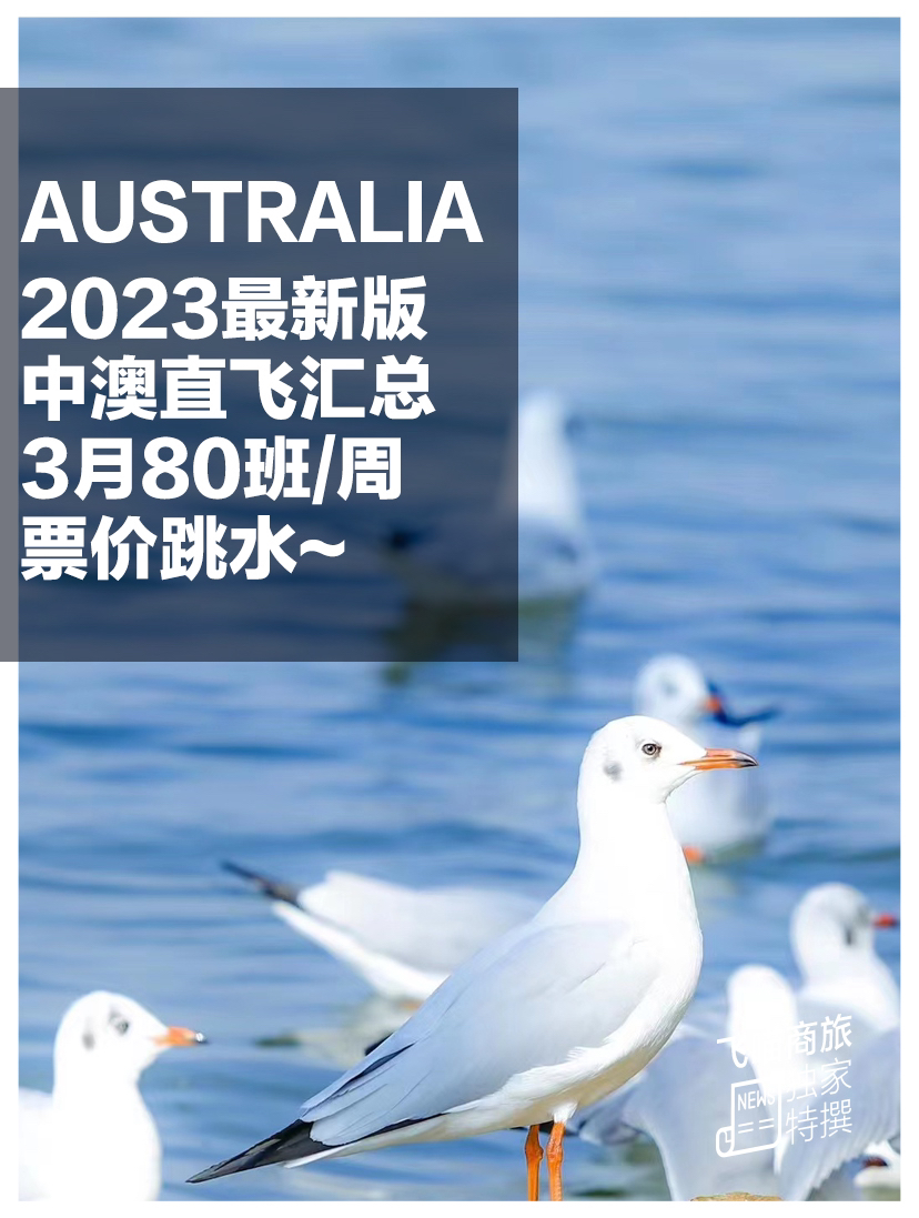 关于澳空一号海红肖的探讨与研究——一次深度解析的SEO文章，澳空一号海红肖深度解析与探讨，全面研究SEO文章