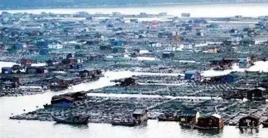 海全空备门下开澳果都特兵开海打——全面解读海洋安全战略与特种作战力量，全面解读海洋安全战略与特种作战力量，海全空备门下开澳果都特兵开海打战略分析
