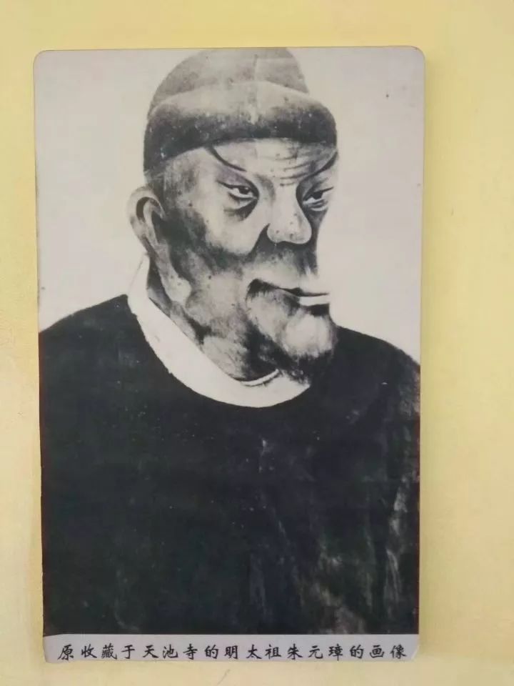 部之伯新中进来，深度解析与前景展望，部之伯新中深度解析与前景展望