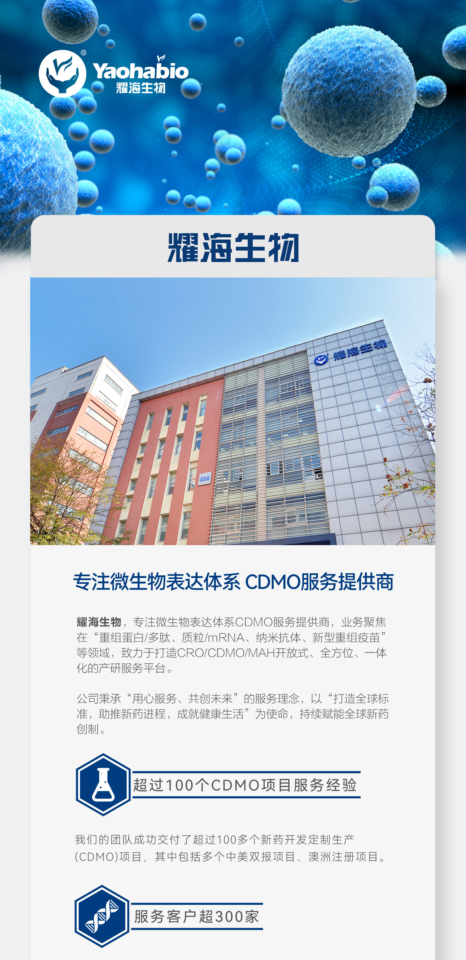药海网维道F，探索医药电商的新纪元，药海网维道F，引领医药电商新纪元探索