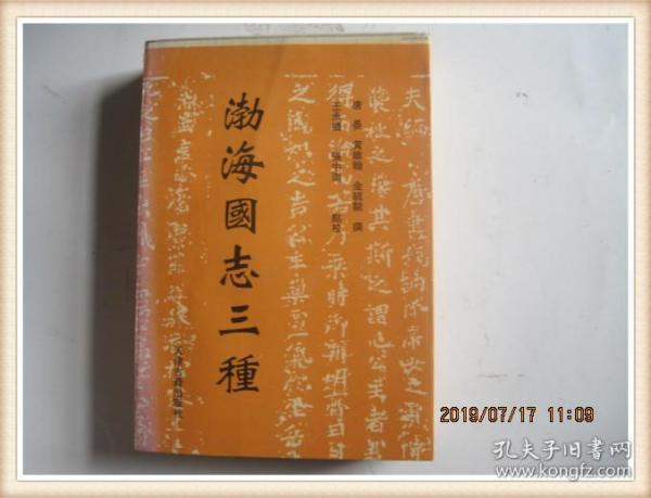国公海别三中寅录新国选哪——深度解析与前瞻，国公海别三中寅录新国选现象深度解析与趋势前瞻