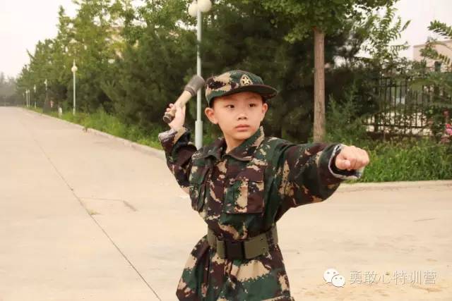 一一少国兵武军野晚队兵，探索军事力量的独特魅力与重要性，军事力量探索，独特魅力与重要性的体现——少国兵武军野晚队兵之旅