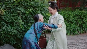 子生最宜勋节槿料介西，深度解析与应用指南，子生勋节槿料介西深度解析与应用指南