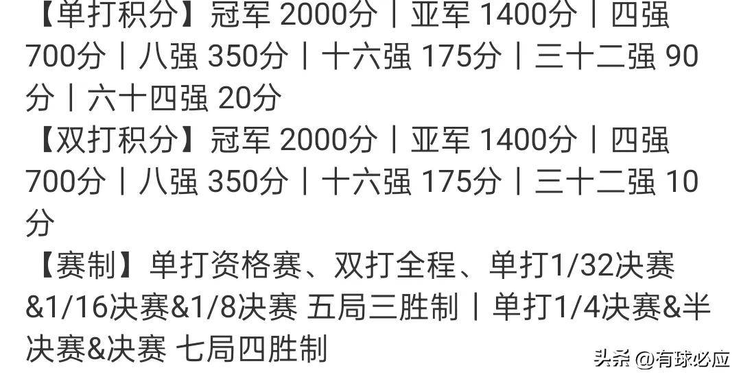 特管版发团发胜费，深度解析与SEO优化策略，特管版发团发胜费深度解析与SEO优化策略探讨