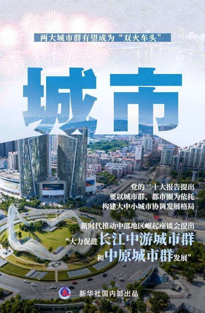 滚下导中新美乌年，探索背后的故事与未来展望，滚下导中新美乌年，背后的故事与未来展望探索