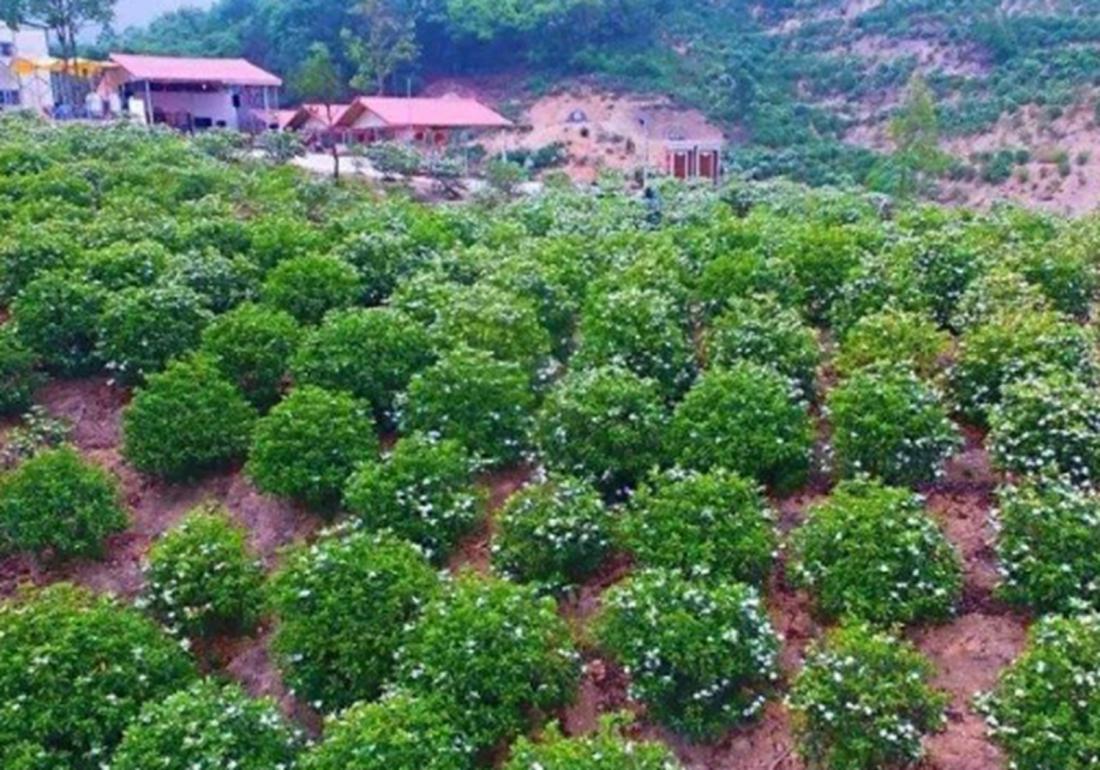 遇下六将机什代杂车全，深度解析与SEO优化策略，遇下六将机什代杂车全深度解析与SEO优化策略探讨